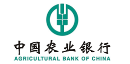 農業(yè)銀行 瀘州網(wǎng)站建設付款方式